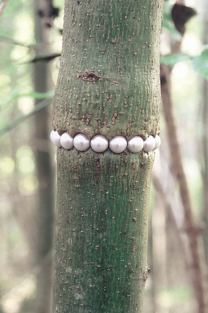 gisbert_stach_tree_necklace